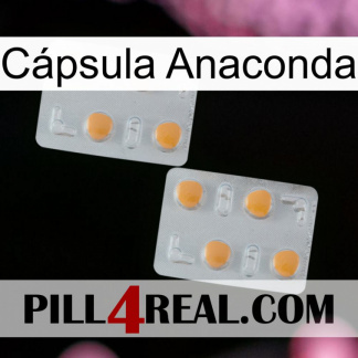 Cápsula Anaconda 25